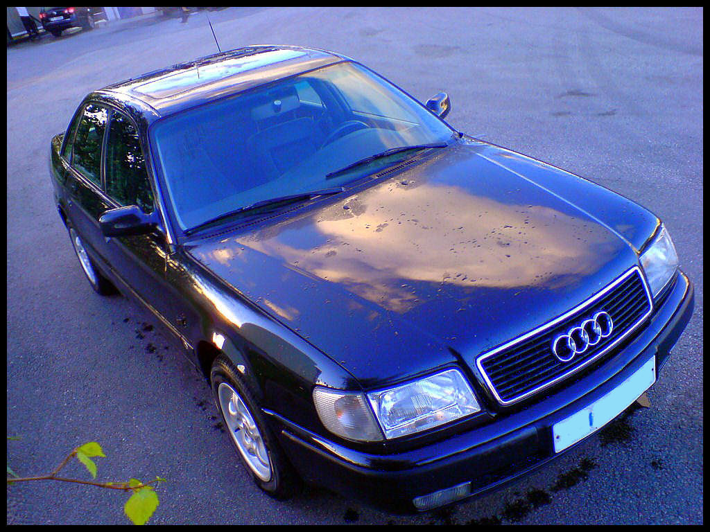 Audi 100 1991
