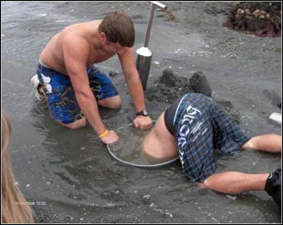 Ikke klag p jobben din!